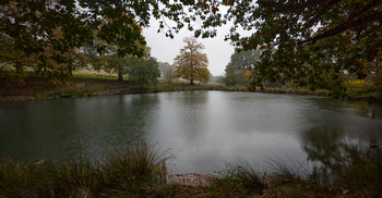 Raining on Hardwick pond.jpg